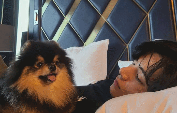 Celebrity Furdads